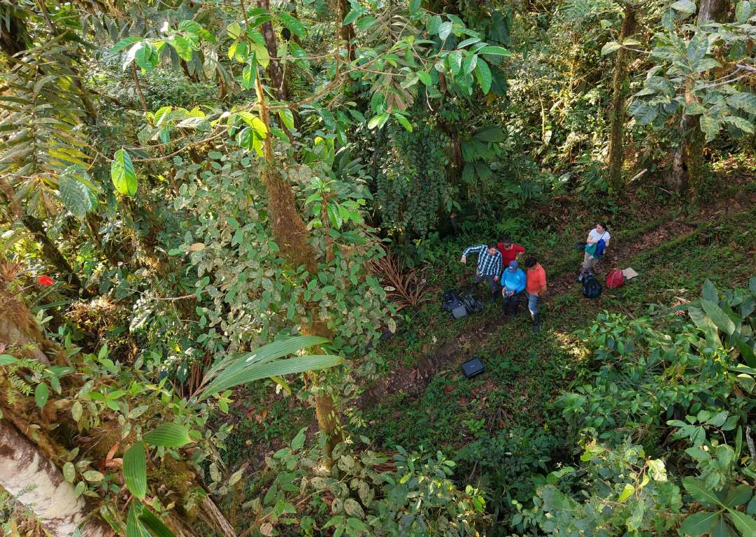 Trabajo de campo en el bosque
