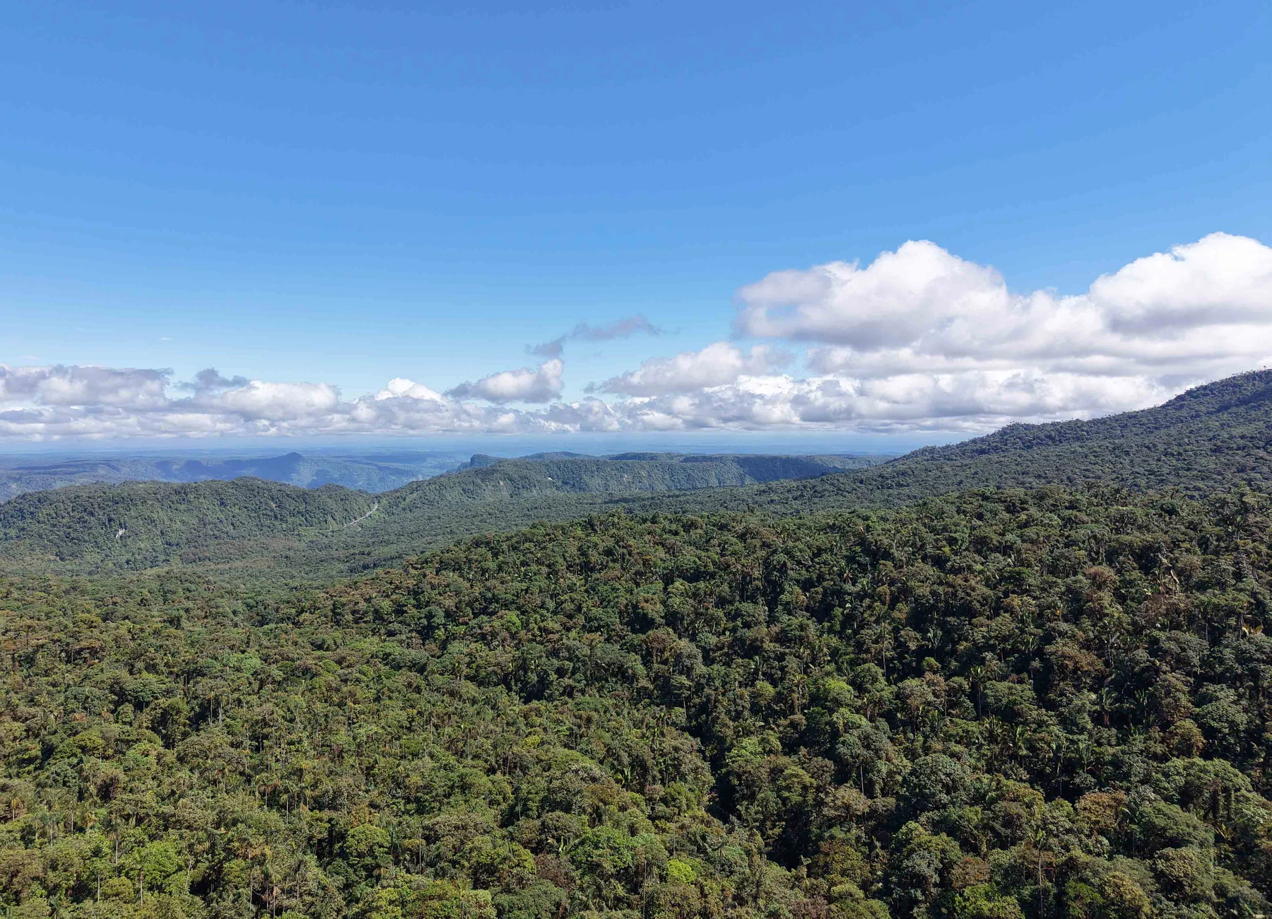 Panorámica de la Reserva Natural Río Ñambí