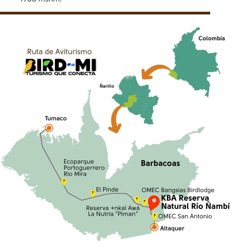Mapa de ubicación de Río Ñambí dentro de Nariño y la ruta de aviturismo